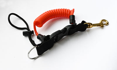 Coil Lanyard with Brass Clip