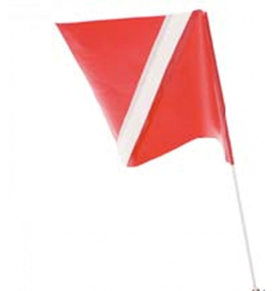 Snorkeling - Flags