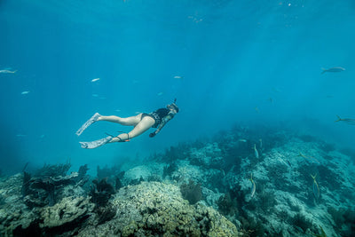 Riffe Women's Syren 2mm Long Sleeve Spring Wetsuit