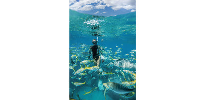 Riffe Women's Syren 2mm Long Sleeve Spring Wetsuit