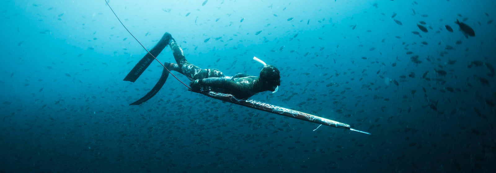 Spearfishing Gear: The Essential Freediving & Spearfishing Equipment