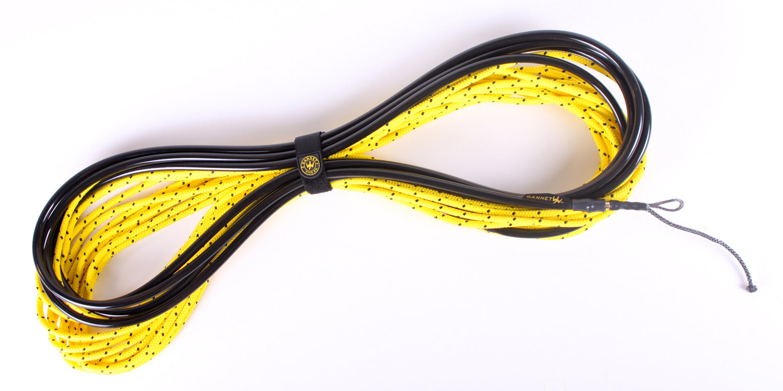 Spearfishing - Bungees